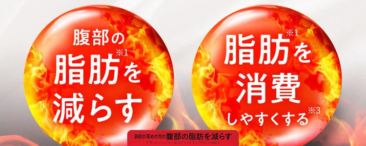 腹部の脂肪※1を減らす 脂肪※1を消費しやすくする※3