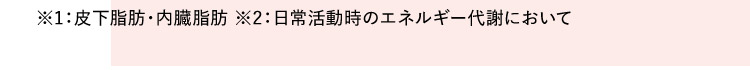 ※1:皮下脂肪・内臓脂肪 ※2:日常活動時のエネルギー代謝において
