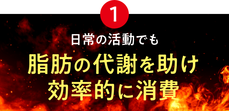 1 日常の活動でも脂肪の代謝を助け効率的に消費