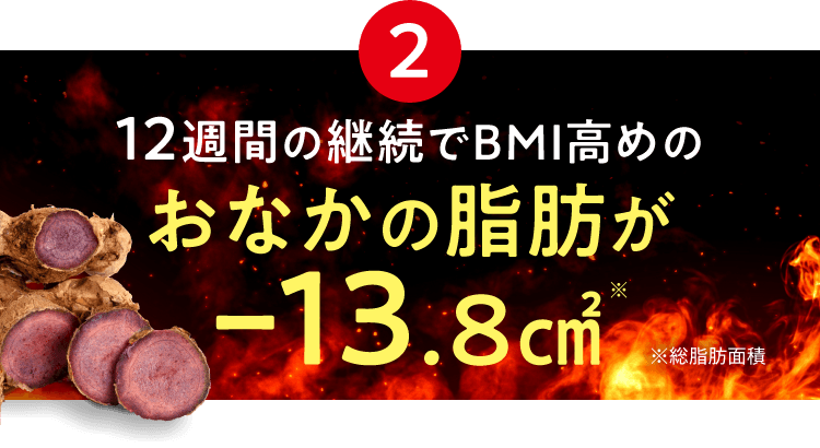 2 12週間の継続でBMI高めのおなかの脂肪が-13.8㎠※ ※総脂肪面積