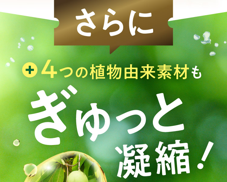 さらに4つの植物由来素材も