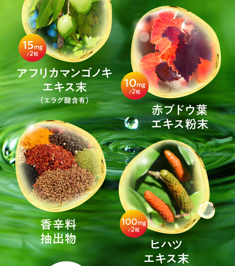 アフリカマンゴノキエキス末(エラグ酸含有)15mg/2粒 赤ブドウ葉エキス粉末10mg/2粒 香辛料抽出物 ヒハツエキス末100mg/2粒
