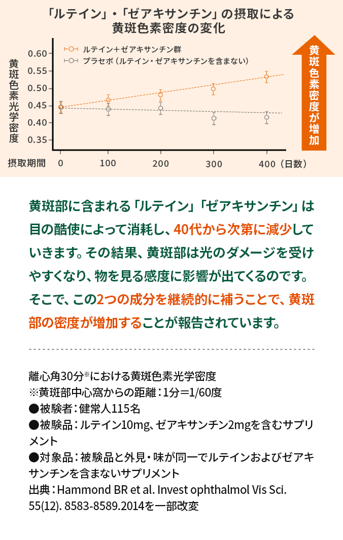 黄斑部に含まれる「ルテイン」「ゼアキサンチン」は目の酷使によって消耗し、40代から次第に減少していきます。その結果、黄斑部は光のダメージを受けやすくなり、物を見る感度に影響が出てくるのです。そこで、この2つの成分を継続的に補うことで、黄斑部の密度が増加することが報告されています。