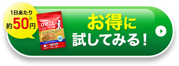 1日あたり約50円※ 一番お得に始める!