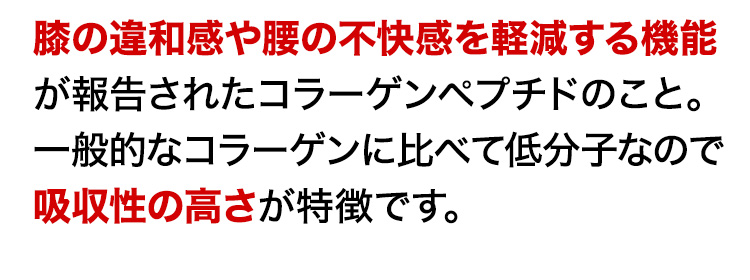 膝の違和感や腰の不快感を軽減する機能が報告されたコラーゲンペプチドのこと。一般的なコラーゲンに比べて低分子なので吸収性の高さが特徴です。