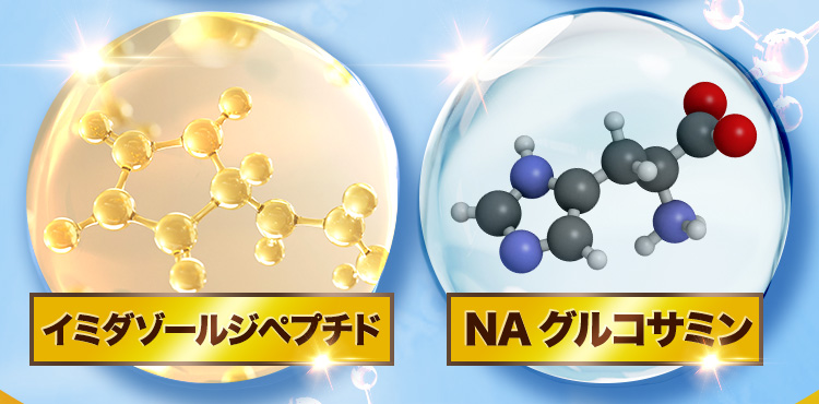イミダゾールジペプチド NAグルコサミン