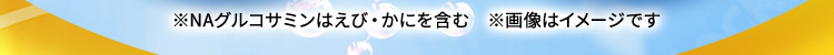 ※NAグルコサミンはえび・かにを含む ※画像はイメージです