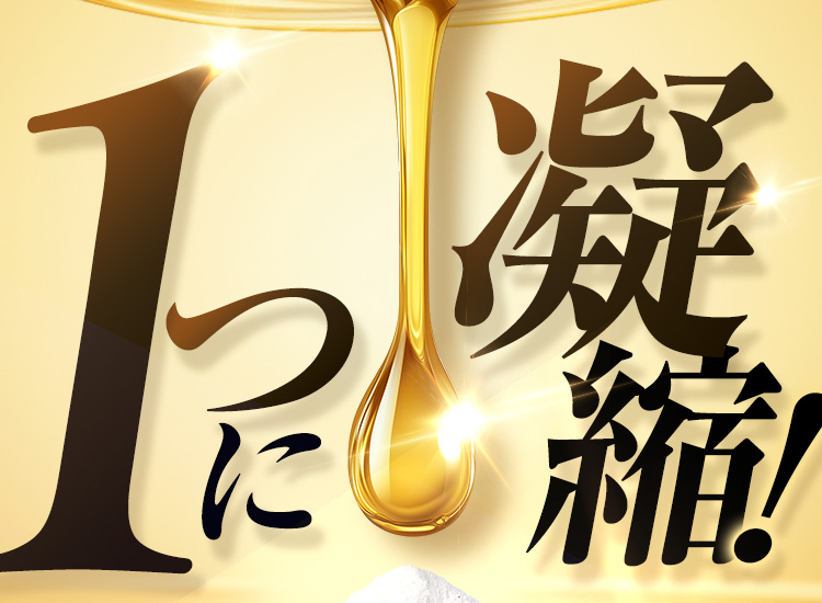 １つに凝縮！
