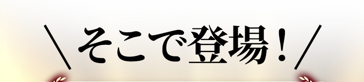 そこで登場！