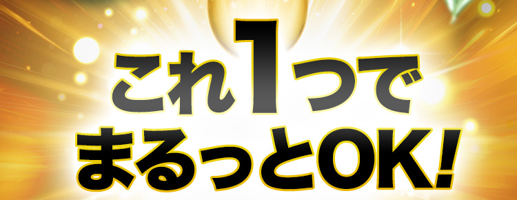 これ1つでまるっとOK!