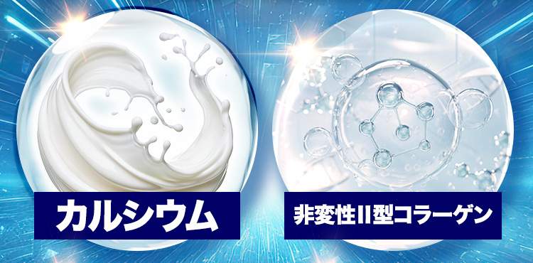 カルシウム 非変性Ⅱ型コラーゲン