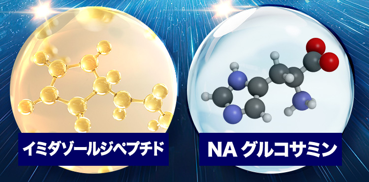 イミダゾールジペプチド NAグルコサミン