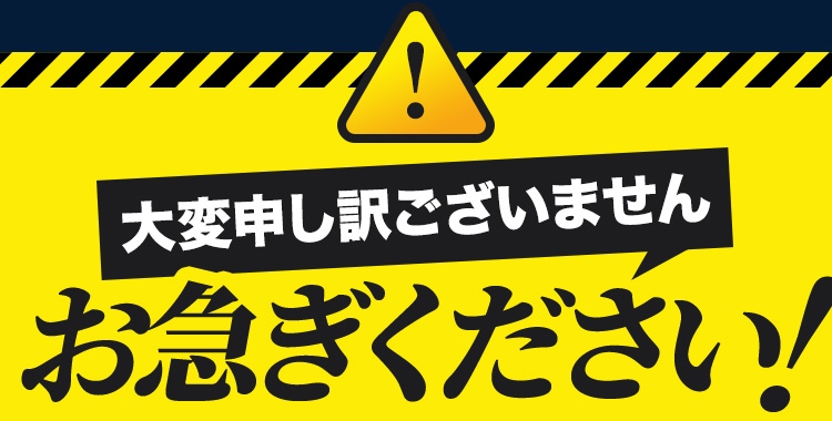 大変申し訳ございませんお急ぎください!