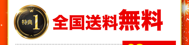 特典1 全国送料無料