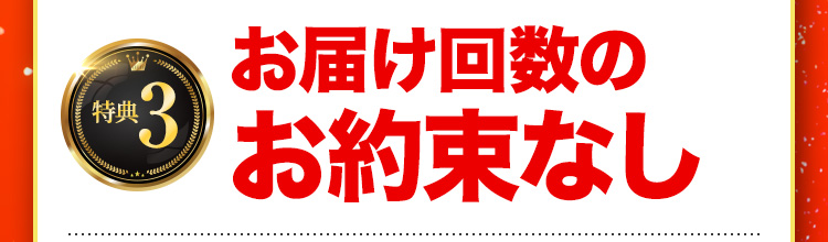 特典3 お届け回数のお約束なし
