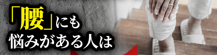 「腰」にも悩みがある人は