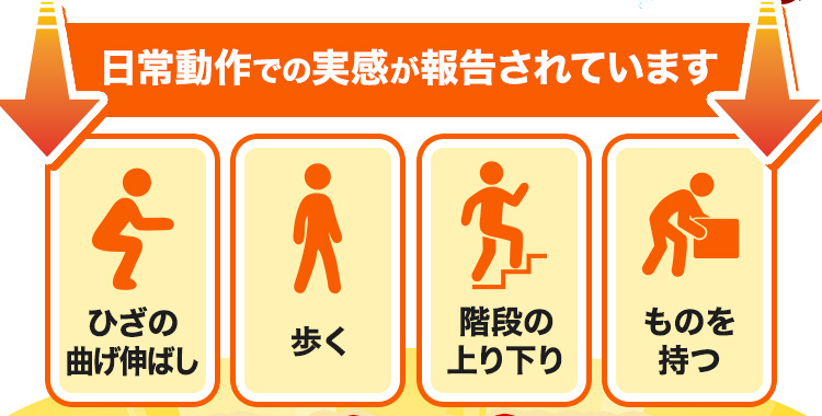 日常動作での実感が報告されています ひざの曲げ伸ばし 歩く 階段の上り下り ものを持つ