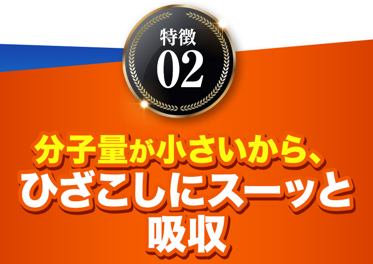 特徴02 分子量が小さいから、ひざこしにスーッと吸収