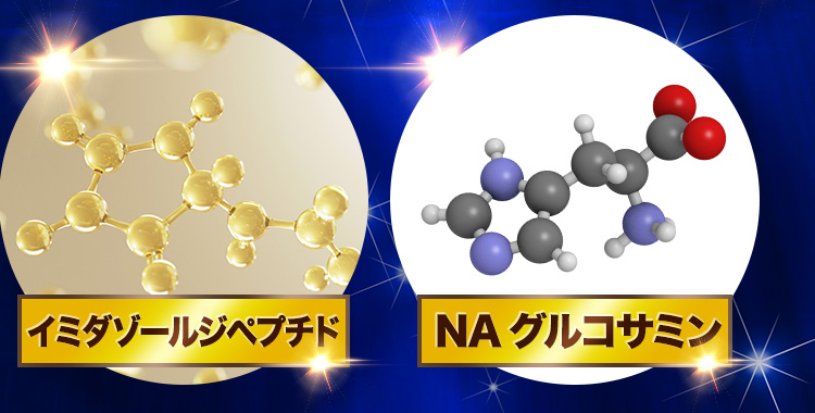 イミダゾールジペプチド NAグルコサミン