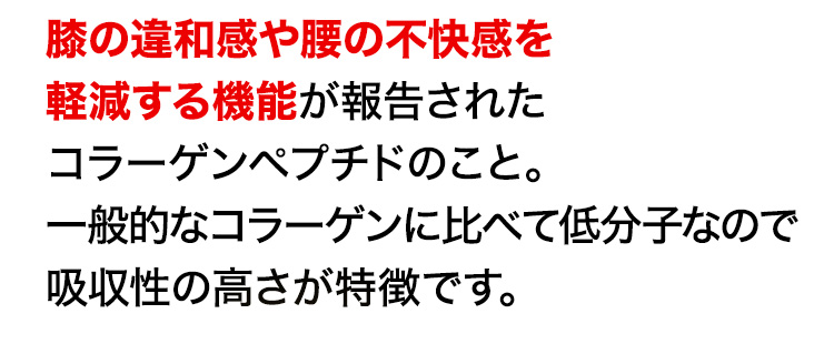 膝の違和感や腰の不快感を軽減する機能が報告されたコラーゲンペプチドのこと。一般的なコラーゲンに比べて低分子なので吸収性の高さが特徴です。