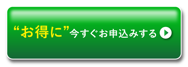お得に今すぐ試してみる
