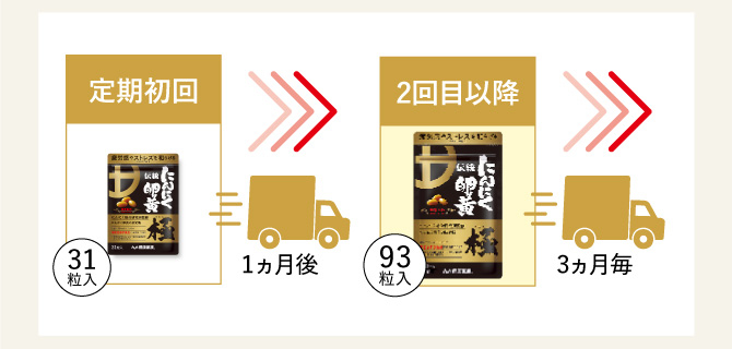 定期初回31粒入1ヵ月後→2回目以降93粒入3ヵ月毎
