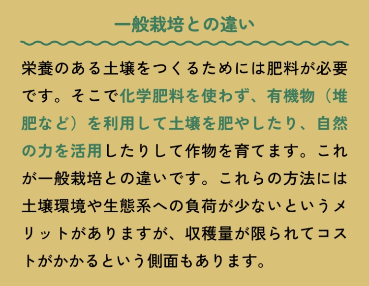 一般栽培との違い 栄養のある土壌をつくるためには肥料が必要です。そこで化学肥料を使わず、有機物（堆肥など）を利用して土壌を肥やしたり、自然の力を活用したりして作物を育てます。これが一般栽培との違いです。これらの方法には土壌環境や生態系への負荷が少ないというメリットがありますが、収穫量が限られてコストがかかるという側面もあります。