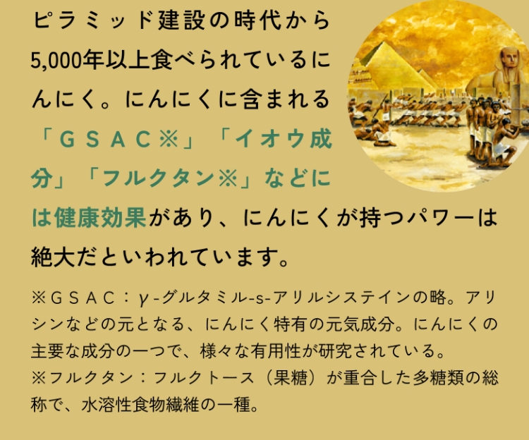 ピラミッド建設の時代から5,000年以上食べられているにんにく。にんにくに含まれる「ＧＳＡＣ※」「イオウ成分」「フルクタン※」などには健康効果があり、にんにくが持つパワーは絶大だといわれています。※ＧＳＡＣ：γ-グルタミル-s-アリルシステインの略。アリシンなどの元となる、にんにく特有の元気成分。にんにくの主要な成分の一つで、様々な有用性が研究されている。※フルクタン：フルクトース（果糖）が重合した多糖類の総称で、水溶性食物繊維の一種。