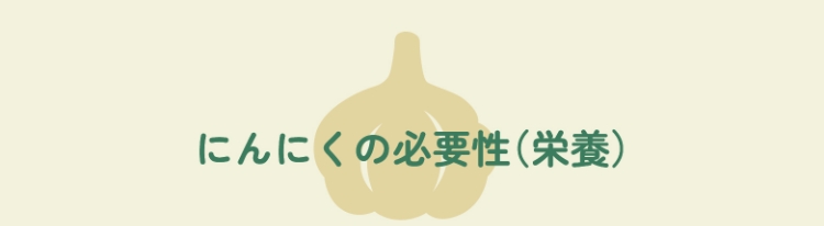 にんにくの必要性（栄養）