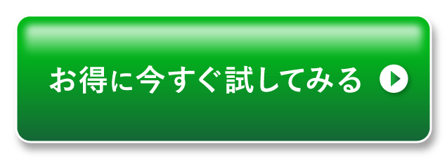 お得に今すぐ試してみる