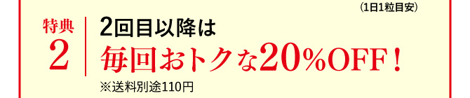 特典2 2回目以降は毎回おトクな20%OFF！※送料別途110円