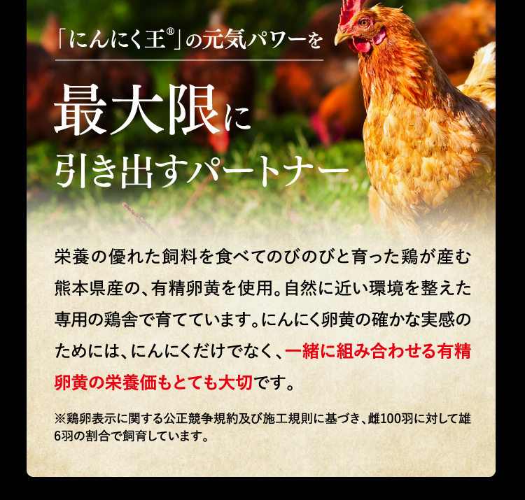 「にんにく王®」の元気パワーを最大限に引き出すパートナー栄養の優れた飼料を食べてのびのびと育った鶏が産む熊本県産の、有精卵黄を使用。自然に近い環境を整えた専用の鶏舎で育てています。にんにく卵黄の確かな実感のためには、にんにくだけでなく、一緒に組み合わせる有精卵黄の栄養価もとても大切です。※鶏卵表示に関する公正競争規約及び施工規則に基づき、雌100羽に対して雄6羽の割合で飼育しています。