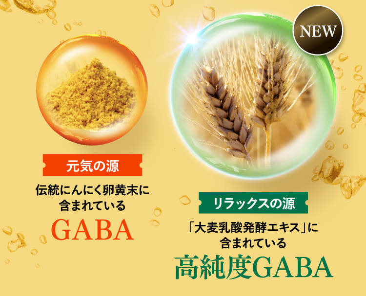 元気の源伝統にんにく卵黄 末に含まれているGABAリラックスの源「大麦乳酸発酵エキス」に含まれている高純度GABA