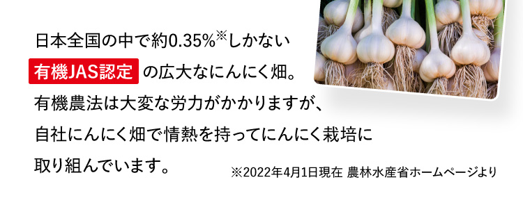 日本全国の中で約0.35%※しかない有機JAS認定の広大なにんにく畑。有機農法は大変な労力がかかりますが、自社にんにく畑で情熱を持ってにんにく栽培に取り組んでいます。※2022年4月1日現在 農林水産省ホームページより