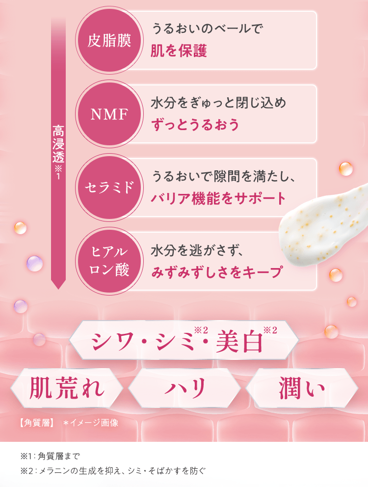 シワ・シミ・美白、肌荒れ、ハリ、潤い