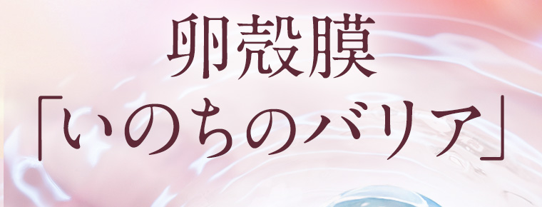 卵殻膜「いのちのバリア」