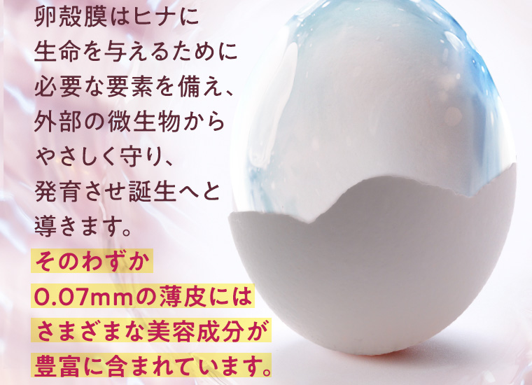 卵殻膜はヒナに生命を与えるために必要な要素を備え、外部の微生物からやさしく守り、発育させ誕生へと導きます。そのわずか0.07mmの薄皮にはさまざまな美容成分が豊富に含まれています。