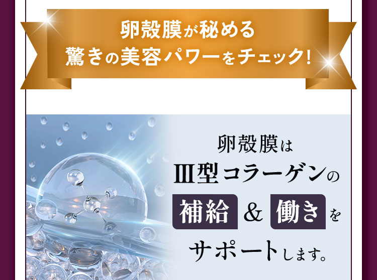 卵殻膜はⅢ型コラーゲンの補給＆働きをサポートします
