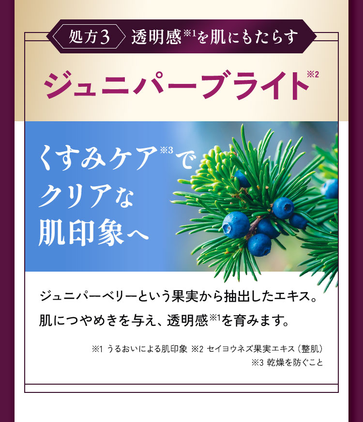 透明感を肌にもたらすジュニパーブライト