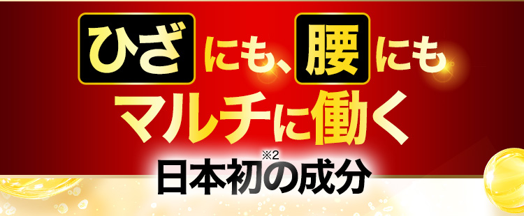 ひざにも、腰にもマルチに働く日本初の成分※2
