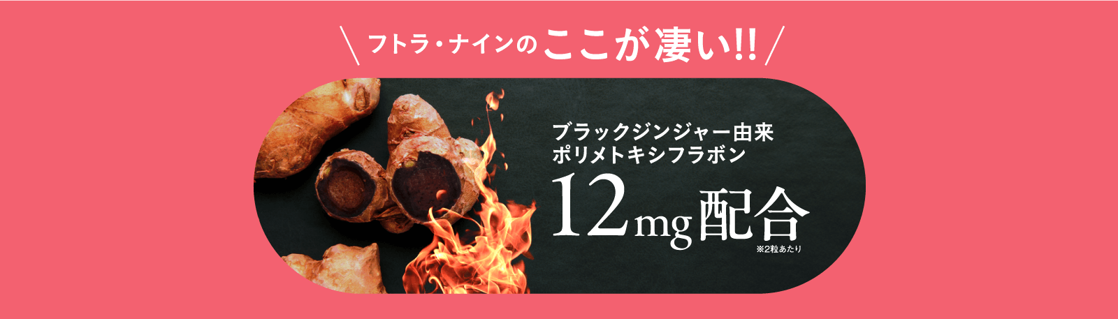 フトラ・ナインのここが凄い！！