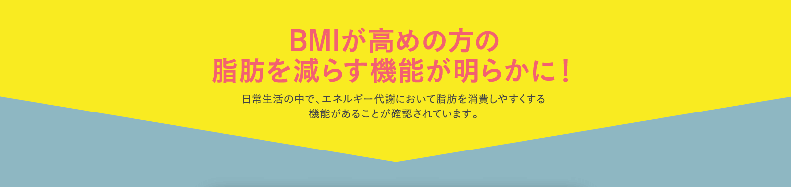 BMIが高めの方の脂肪を減らす機能が明らかに！