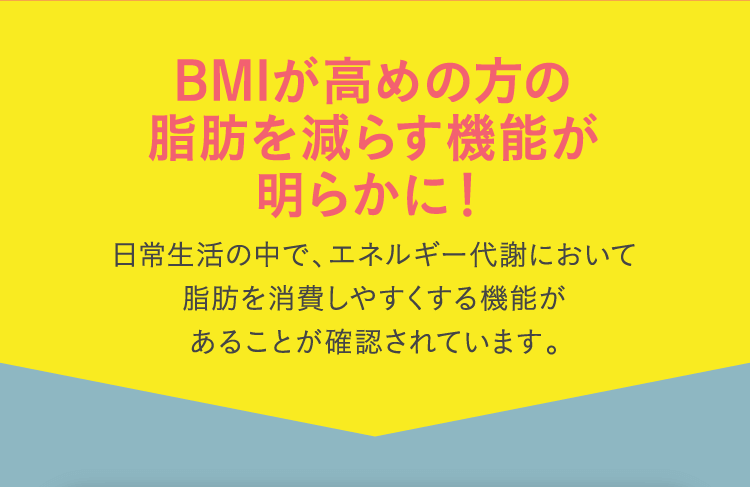 BMIが高めの方の脂肪を減らす機能が明らかに！