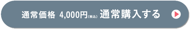 通常価格4,000円（税込み）通常購入する