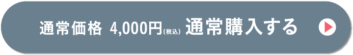 通常価格4,000円（税込み）通常購入する