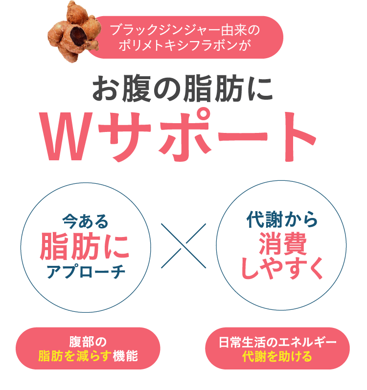 お腹の脂肪にダブルサポート