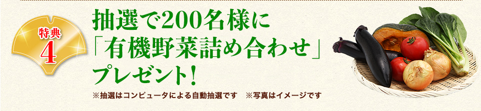 有機野菜プレゼント