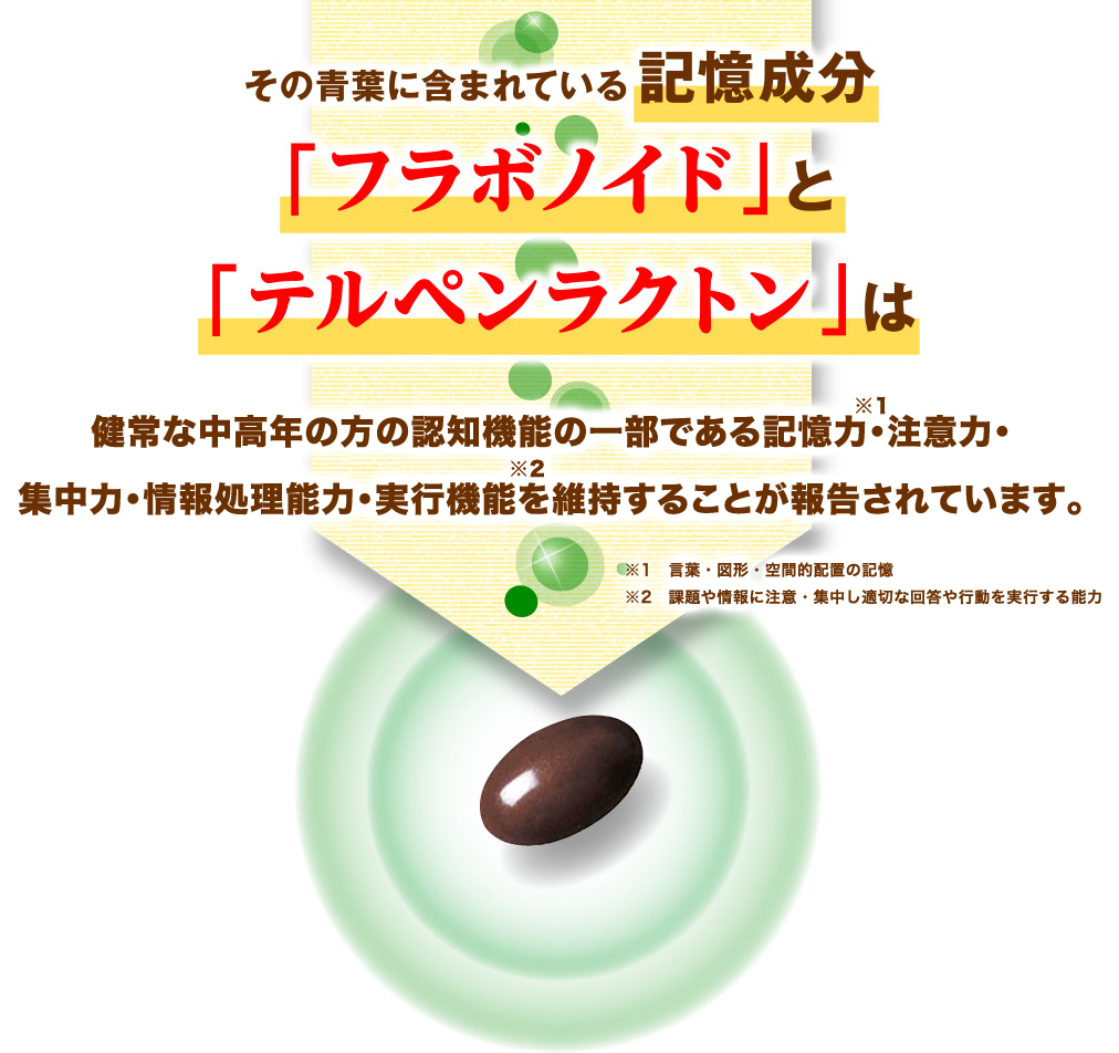 その青葉に含まれている記憶成分「フラボノイド」と「テルペンラクトン」は中高年の方の認知機能の一部である記憶力（言葉や図形などを覚え、思い出す能力）を維持することが報告されています。