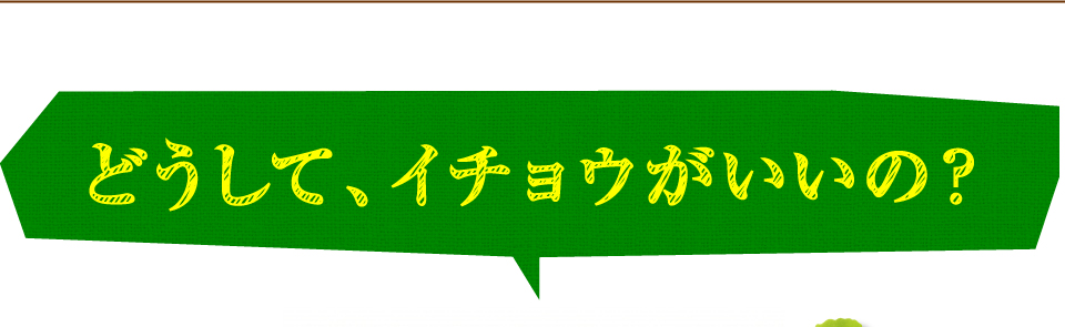 どうして、イチョウがいいの？