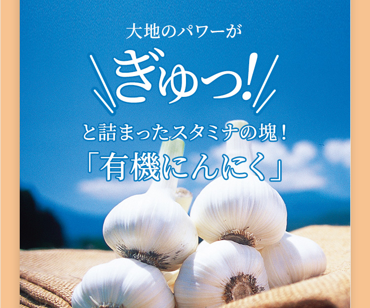 大地のパワーがぎゅっ!と詰まったスタミナの塊!「有機にんにく」